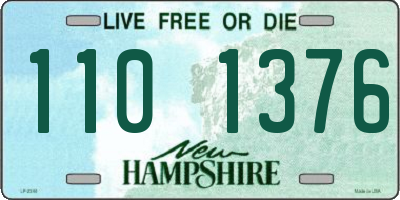 NH license plate 1101376
