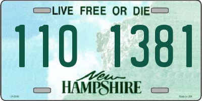 NH license plate 1101381