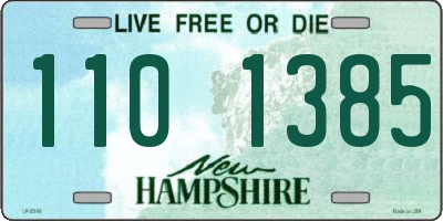 NH license plate 1101385
