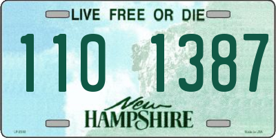 NH license plate 1101387