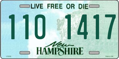 NH license plate 1101417