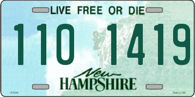 NH license plate 1101419