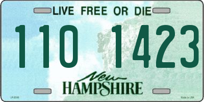 NH license plate 1101423