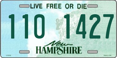 NH license plate 1101427