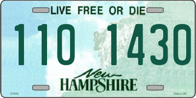 NH license plate 1101430