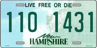 NH license plate 1101431