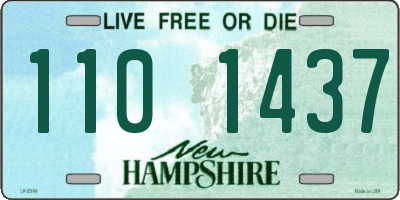 NH license plate 1101437