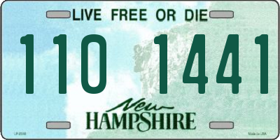 NH license plate 1101441
