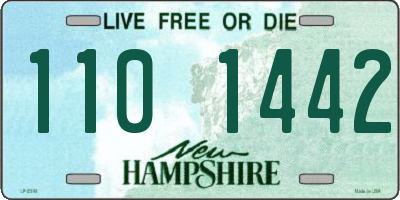 NH license plate 1101442