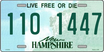 NH license plate 1101447