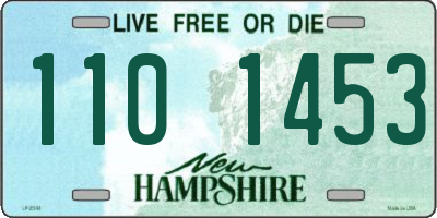 NH license plate 1101453