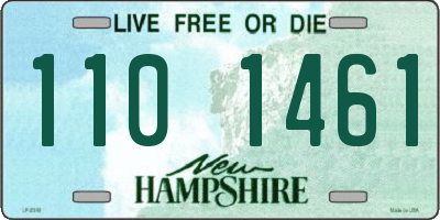 NH license plate 1101461