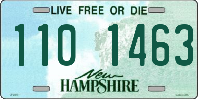 NH license plate 1101463