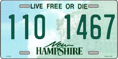 NH license plate 1101467