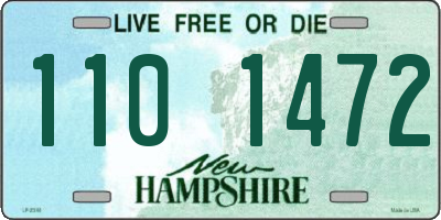 NH license plate 1101472