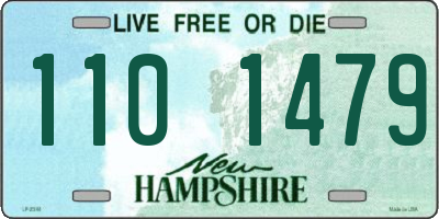 NH license plate 1101479