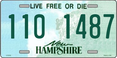 NH license plate 1101487