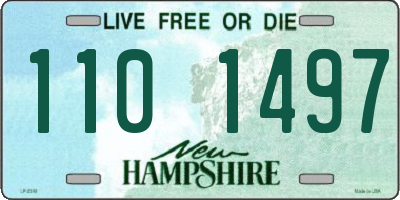 NH license plate 1101497