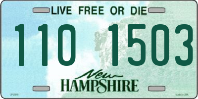 NH license plate 1101503