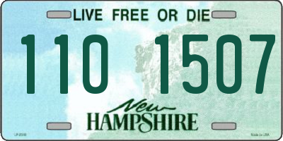 NH license plate 1101507