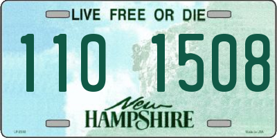 NH license plate 1101508