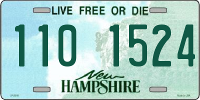 NH license plate 1101524