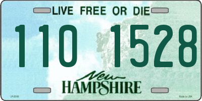 NH license plate 1101528