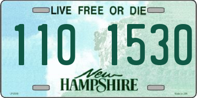 NH license plate 1101530