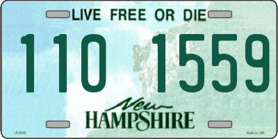 NH license plate 1101559
