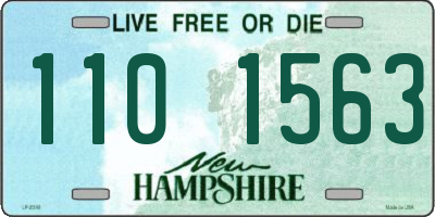 NH license plate 1101563