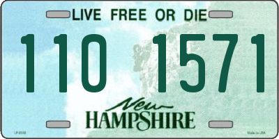 NH license plate 1101571