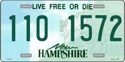 NH license plate 1101572