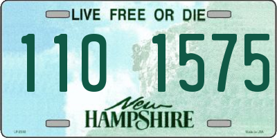 NH license plate 1101575