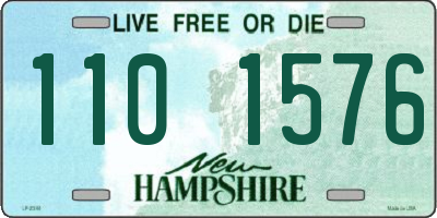 NH license plate 1101576