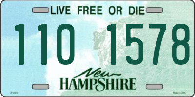 NH license plate 1101578
