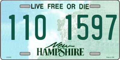 NH license plate 1101597