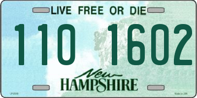 NH license plate 1101602