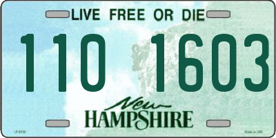 NH license plate 1101603