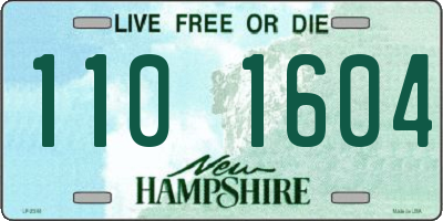 NH license plate 1101604