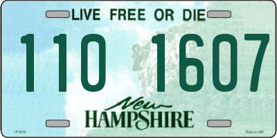 NH license plate 1101607