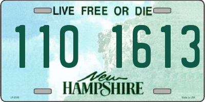 NH license plate 1101613