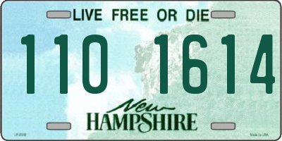 NH license plate 1101614