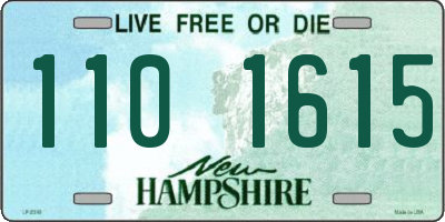NH license plate 1101615