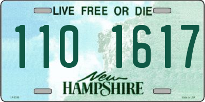 NH license plate 1101617