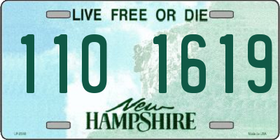 NH license plate 1101619