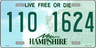 NH license plate 1101624