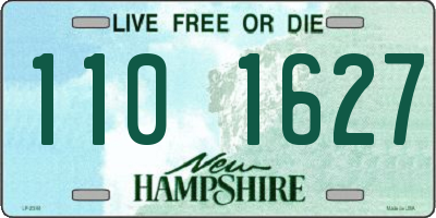 NH license plate 1101627