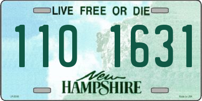 NH license plate 1101631