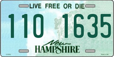 NH license plate 1101635
