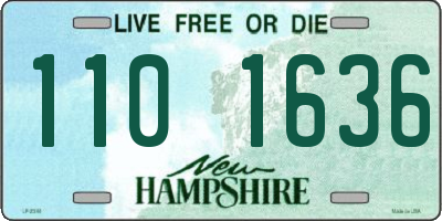NH license plate 1101636